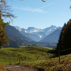 Hundetreffen 2014 im Allgäu (7)